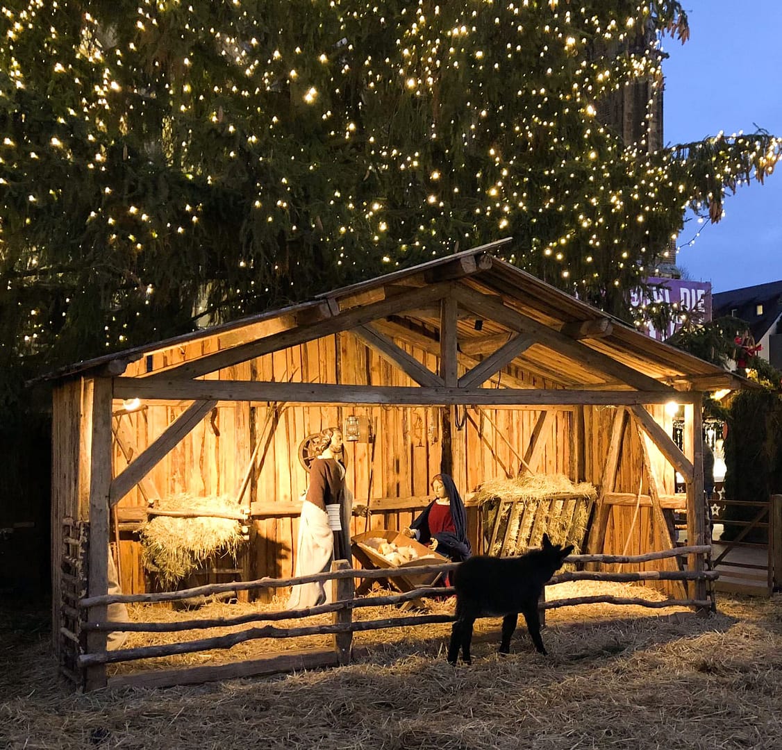 Christmas nativity display