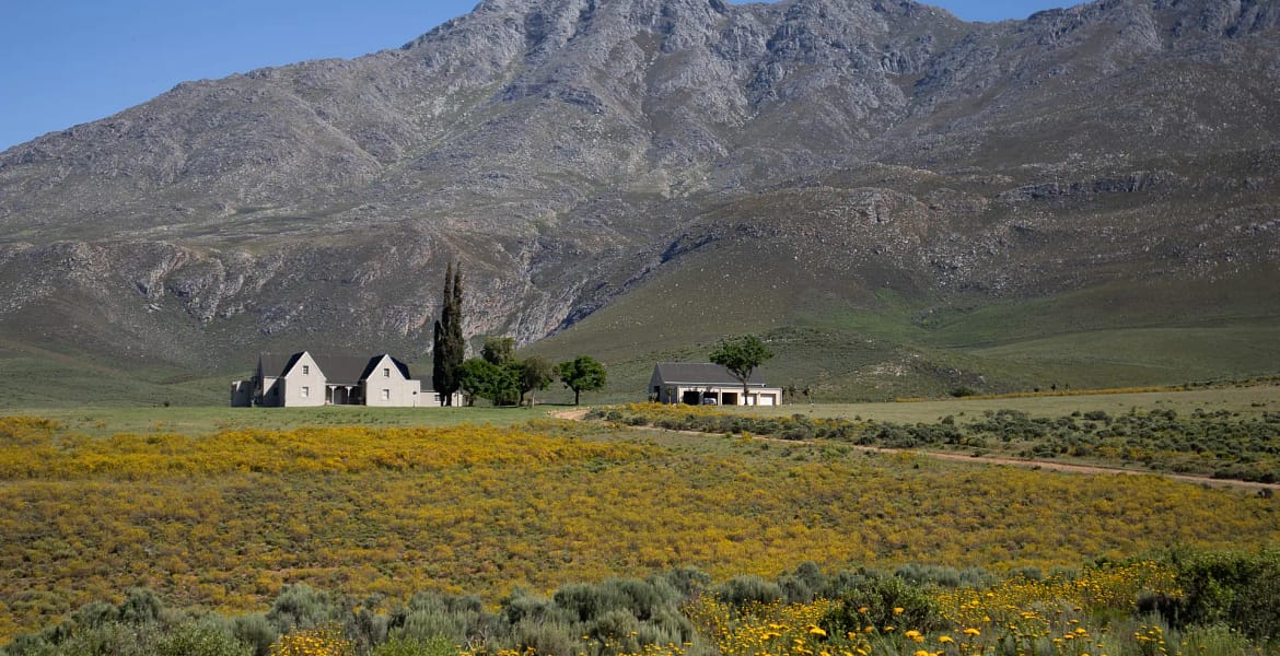 Swartberge Nature Reserve, Klein-karoo, Garden Route, South Africa