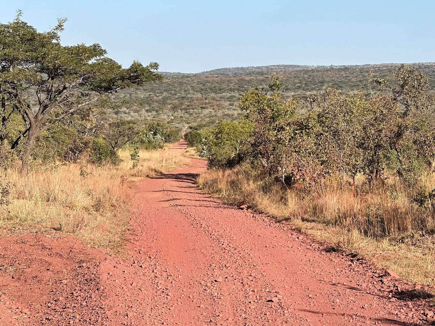 Guided walking safaris Waterberg Biosphere, Welgevonden Game Reserve