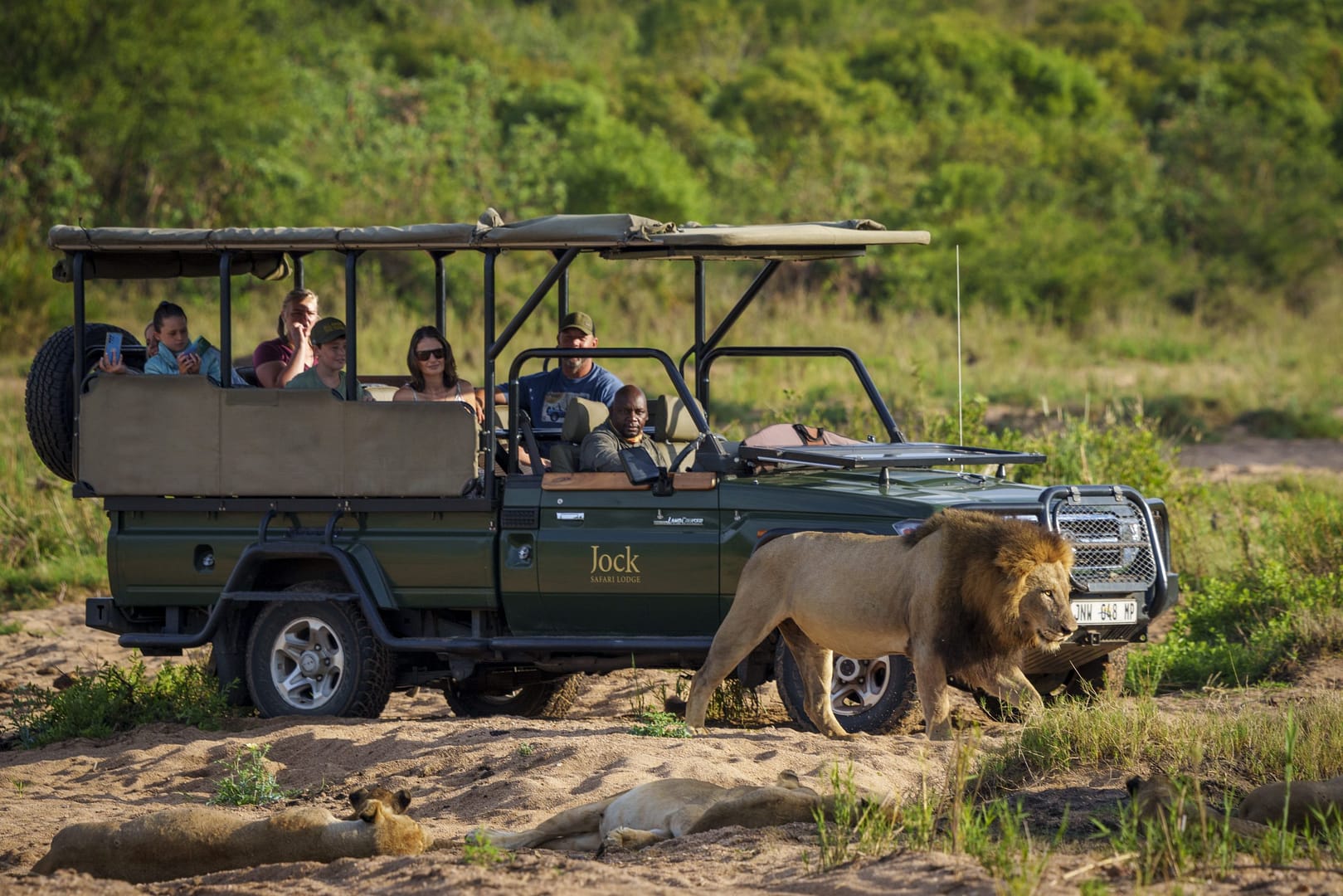 Safari vehicle at a private game reserve in South Africa will male line next to it