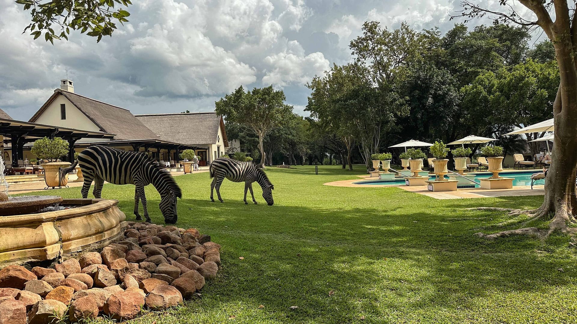 Anantar, Royal Livingstone, Viktoriafälle, Sambia, Zebras im Hotel