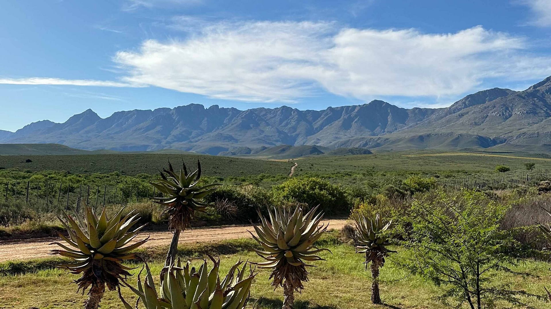 Klein Karoo landscape with mountain range in the background. Klein Karoo Landschaft mit Bergkette im Hintergrund