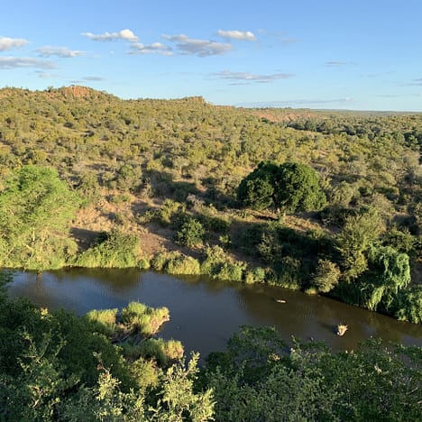 Kruger Nationalpark- Was man vor einer Reise wissen sollte