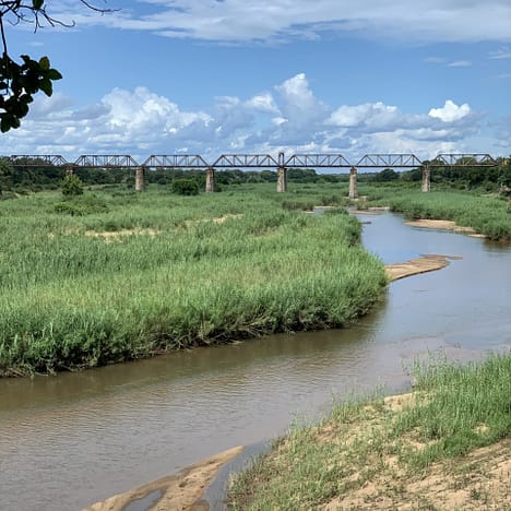 Kruger Nationalpark- Was man vor einer Reise wissen sollte
