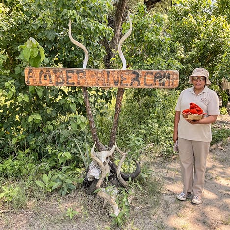 Safari im Okavango Delta – Amber River Camp