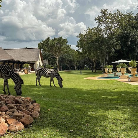 Stellenbosch erleben: Die charmanteste Stadt Südafrikas im Herbst entdecken