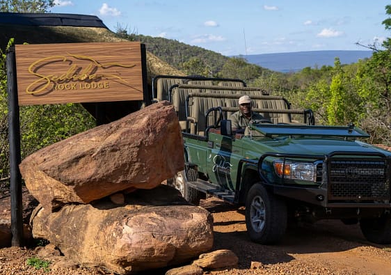 Twice daily game drives at Sediba Luxury Lodge with Moyo the most experienced game ranger behind the wheel