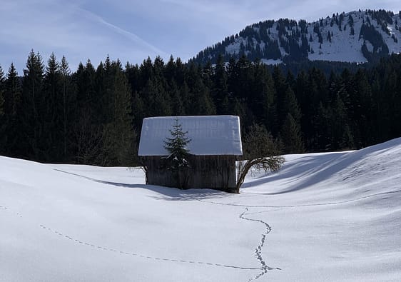 Winter in the Allgäu