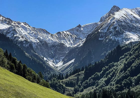 Rolling hills in the Allgäu region with backdrop of the Alps of Germany