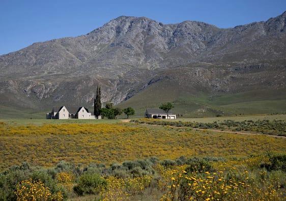 Swartberge Nature Reserve, Klein-karoo, Garden Route, South Africa