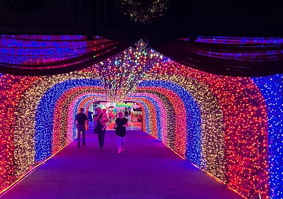 Amazing Christmas Lights tunnel at a Christmas Festival in Johannesburg
