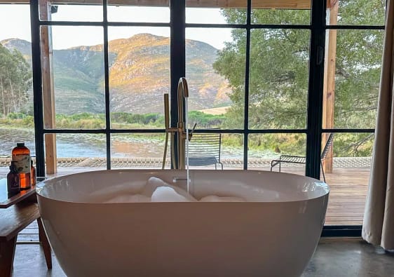Bathroom with a view over a lily pond