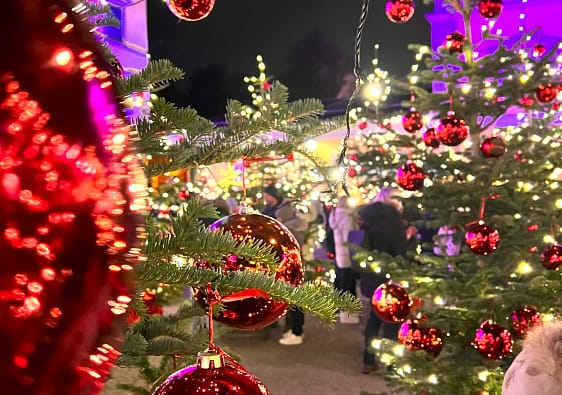 Christmas trees with red baubles in fairly rights at a Christmas Market in Austria