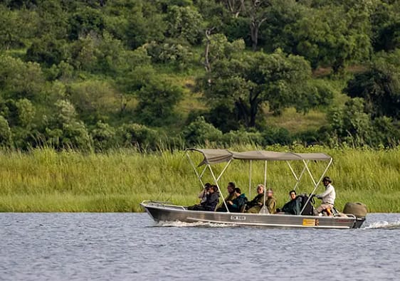 A boat cruise on the Okavango delta surrounded by aquatic wildlife