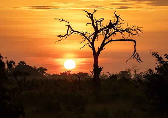 sunset in Africa