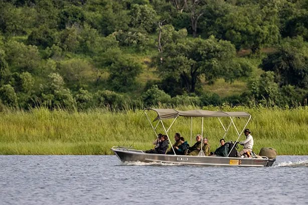 A boat cruise on the Okavango delta surrounded by aquatic wildlife