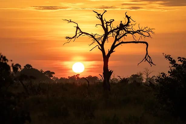 sunset in Africa