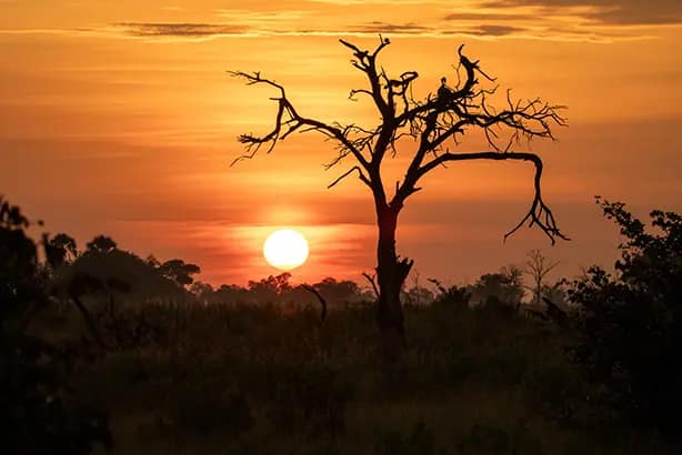 Sunset Botswana