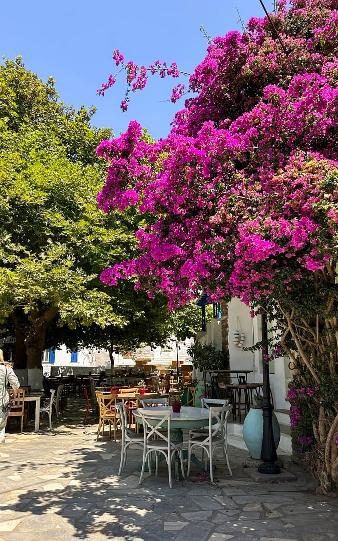 Dyo Choria, Bougainvillea, sqare in Greece with Bougainvillea. Geheimtipp in den Kykladen