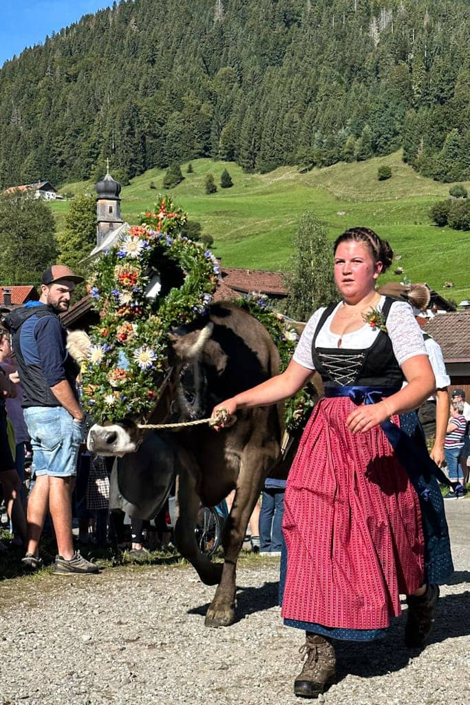 Kranzkuh Viehscheid
