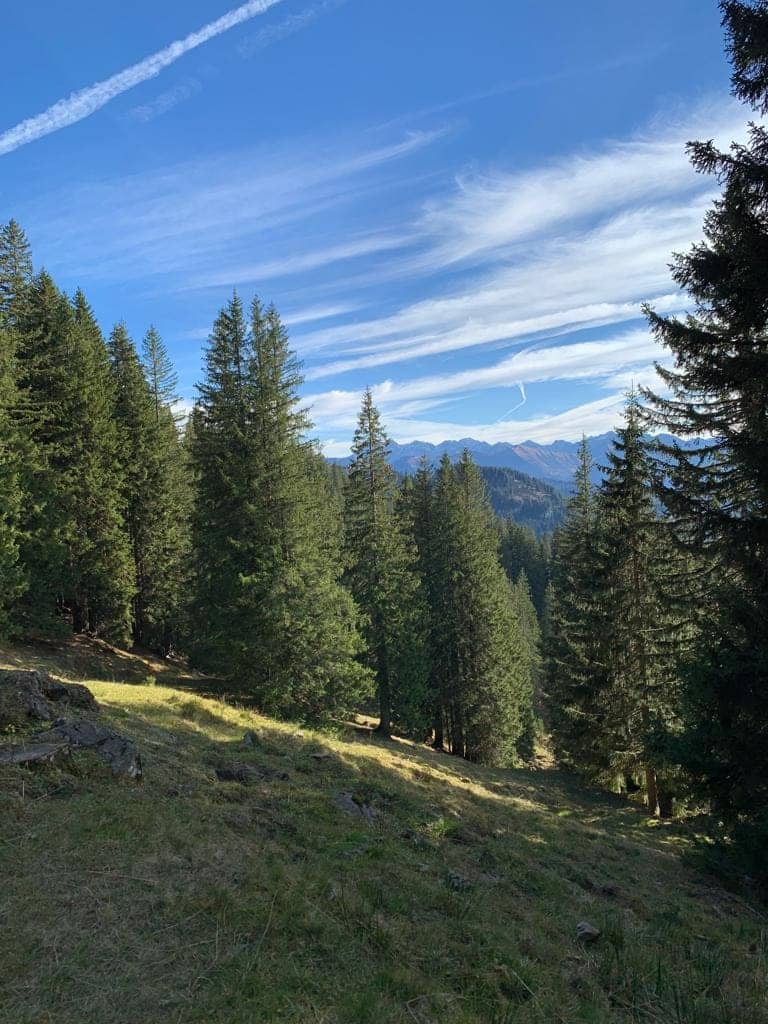 Travelbuddieslifestyle in Oberstdorf. It's the perfect starting point for hikes.