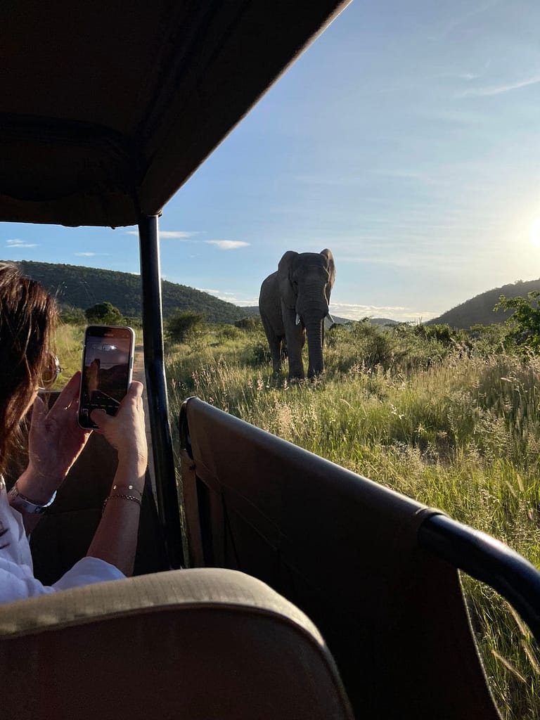 Travelbuddieslifestyle at Sediba Lodge