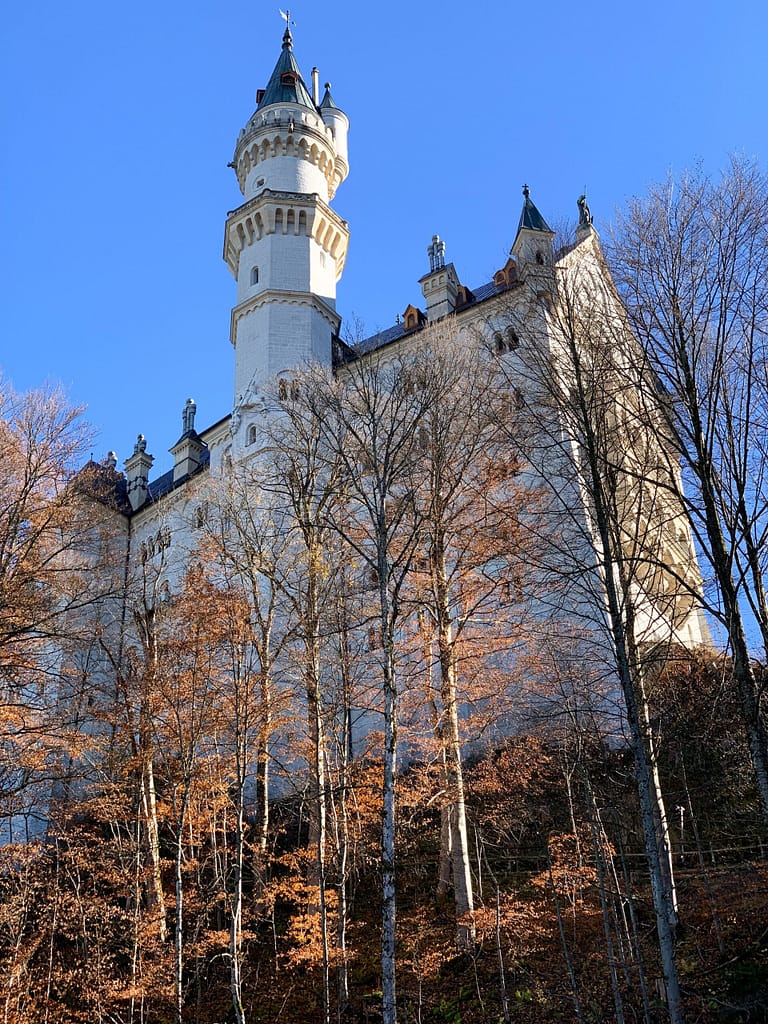 Travelbuddieslifestyle in Germany