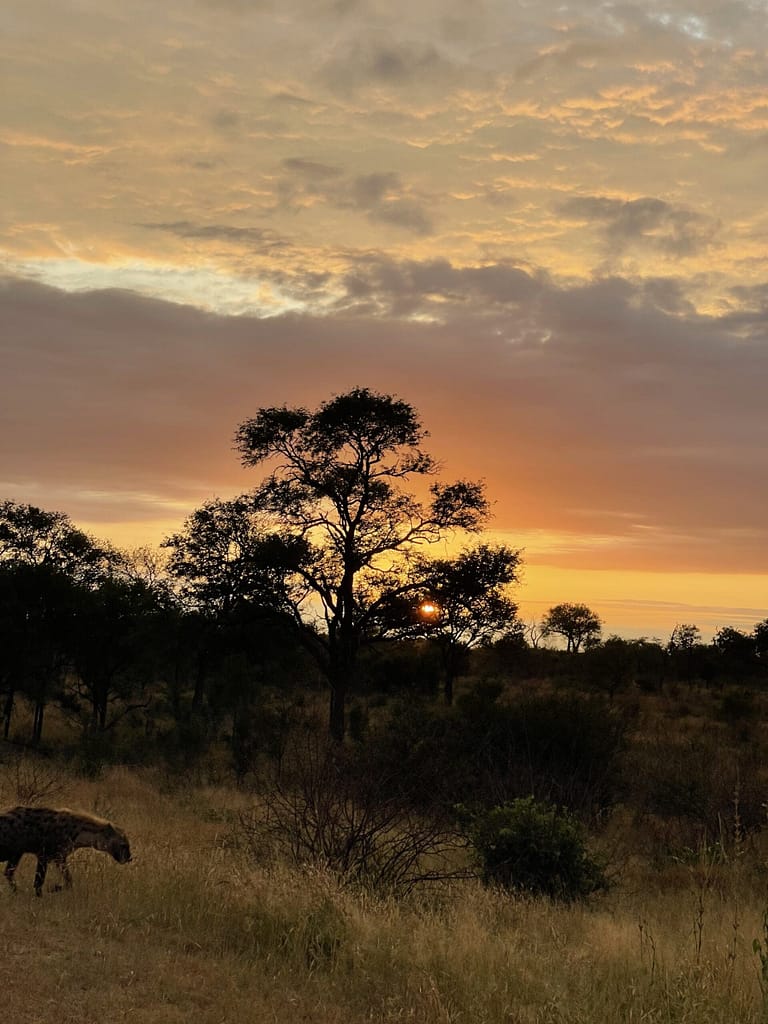 Sunset in Kruger National Park