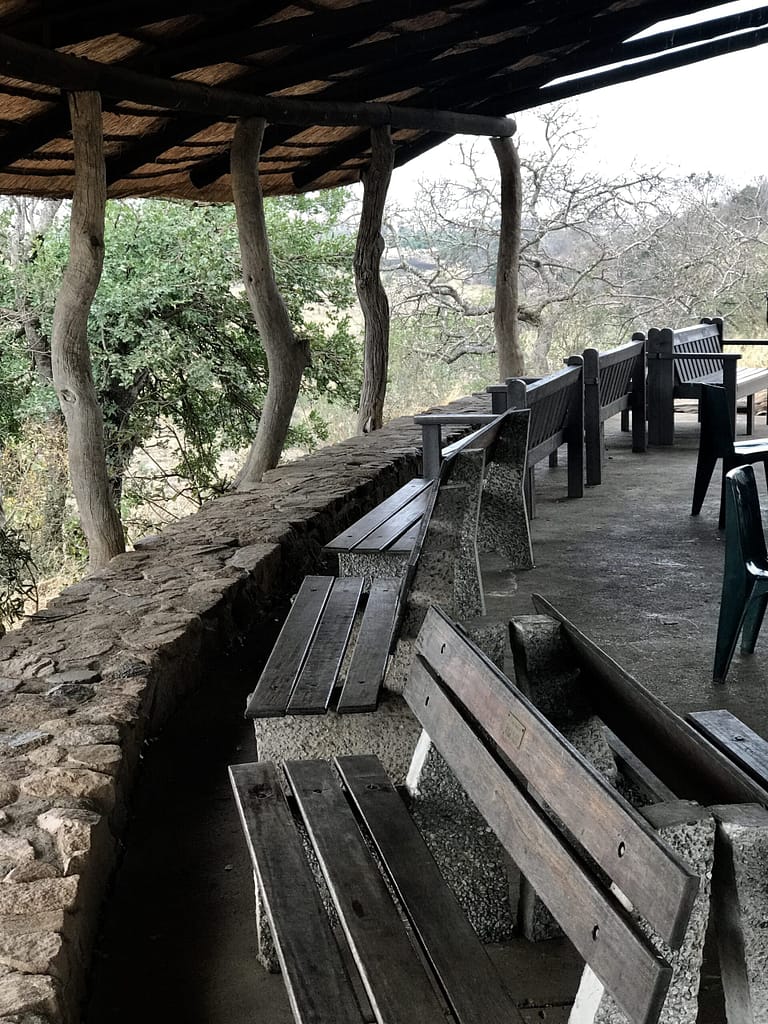 Travelbuddies in Kruger