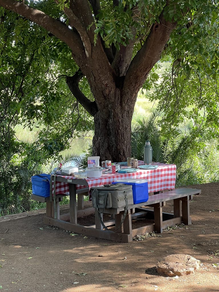 TRavelbuddies at Tshokwane