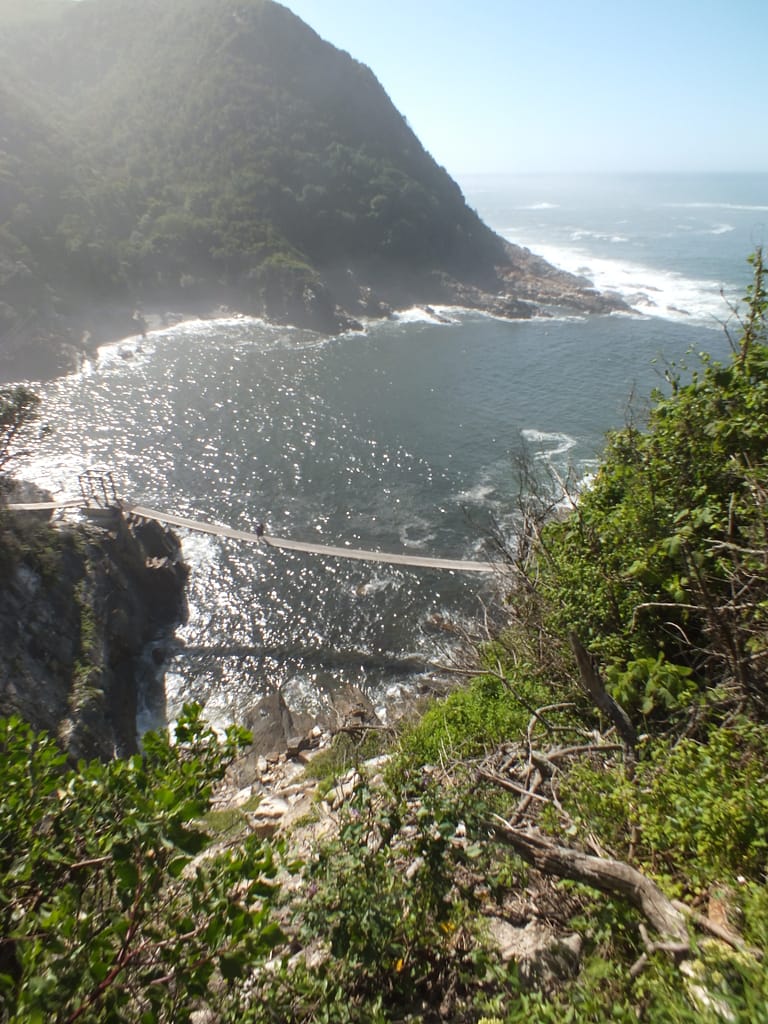 Tsitsikamma National Park, South Africa