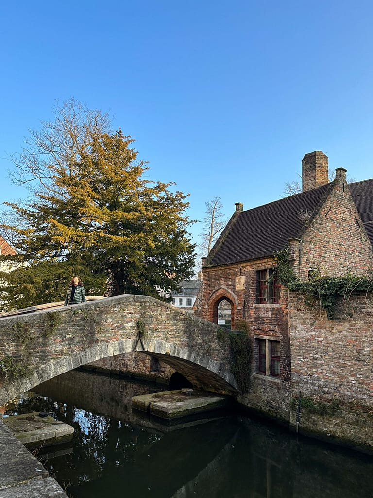 Boniface Bridge, Bruges