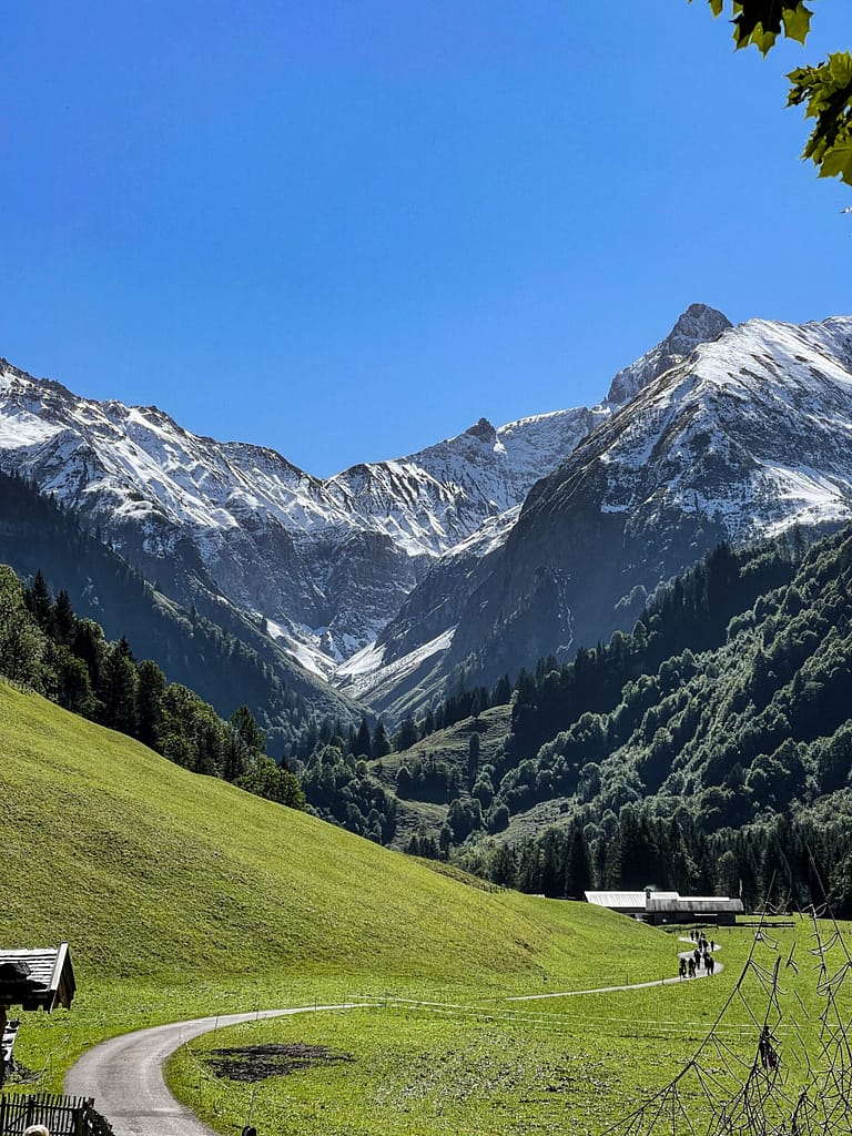 Rolling hills in the Allgäu region with backdrop of the Alps of Germany