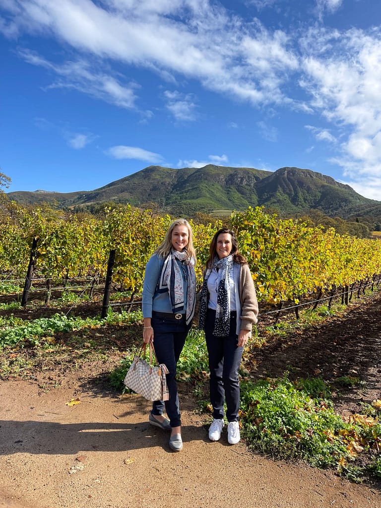 Constantia Winelands near Cape Town