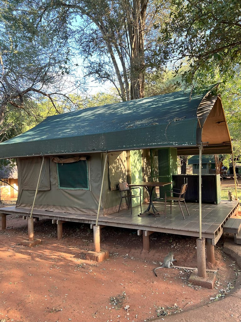 The exterior of a canvas Safari tent at Crocodile Bridge Rest Camp