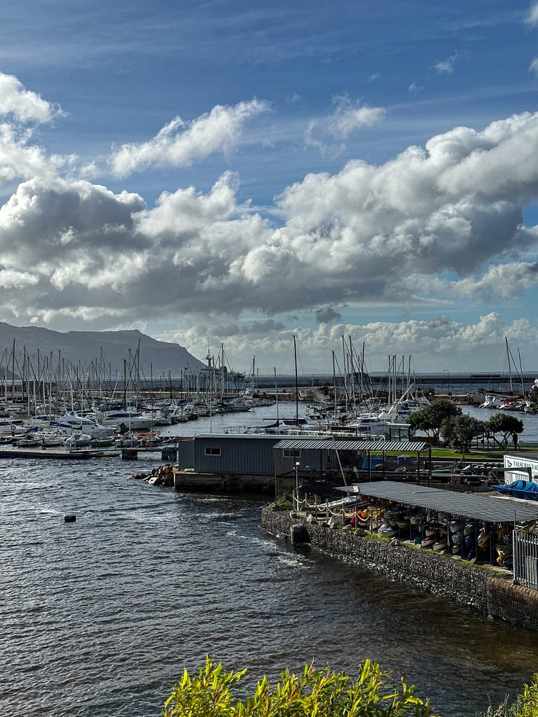 Simon's Town, Harbour