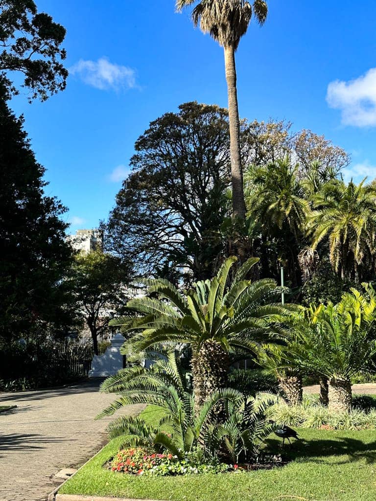 Company's Garden, Cape Town