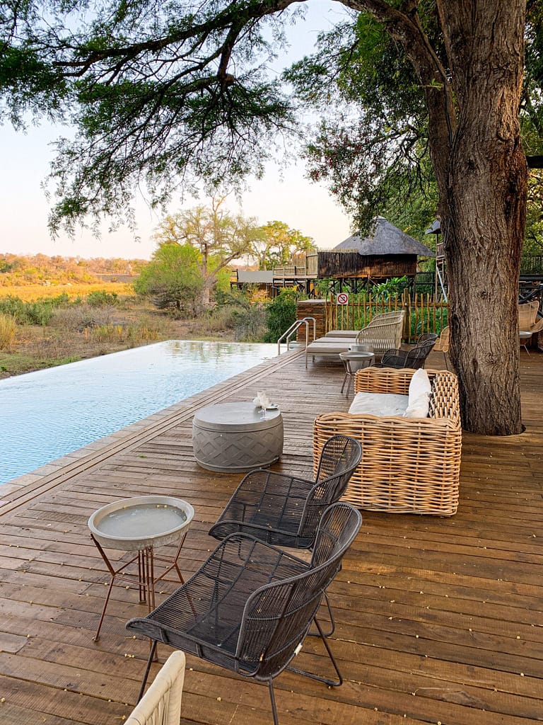 Front row game viewing seats at the main pool of the Krugare Gate Hotel