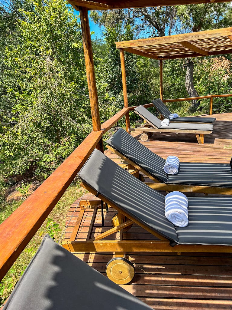 The comfortable pool loungers