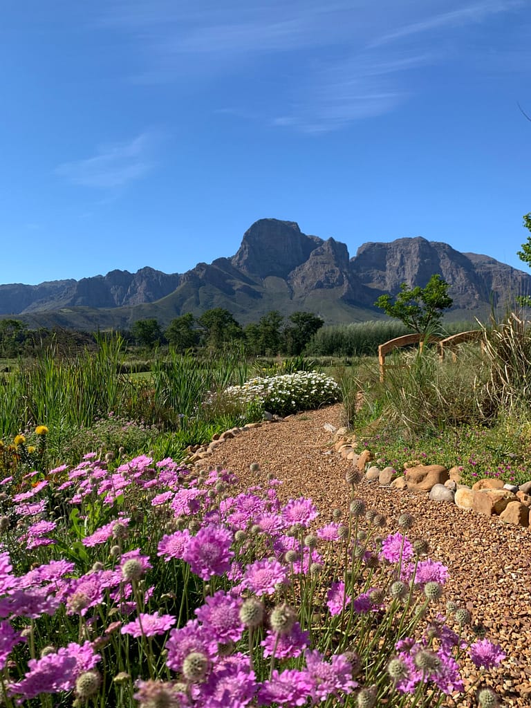Boschendal, Franschhoek, Stellenbosch, Winefarm