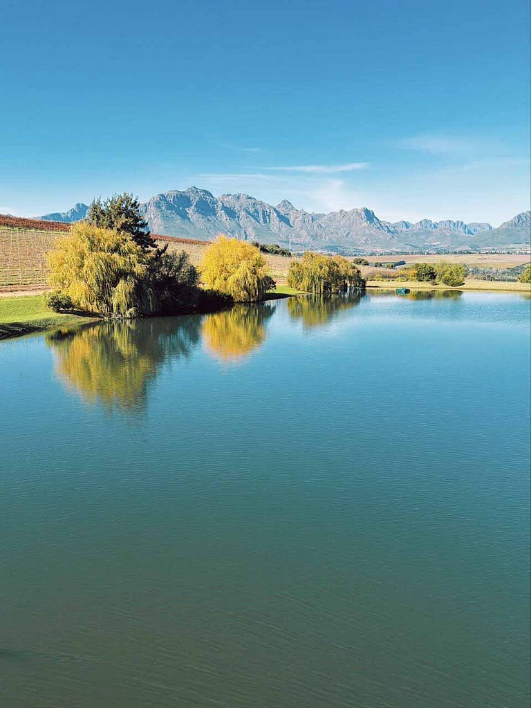 Stellenbosch