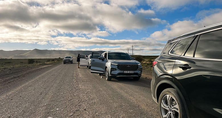 Ford Territory SUV. Family car. Familienauto. Roadtrip von Port Elizabeth nach Johannesburg