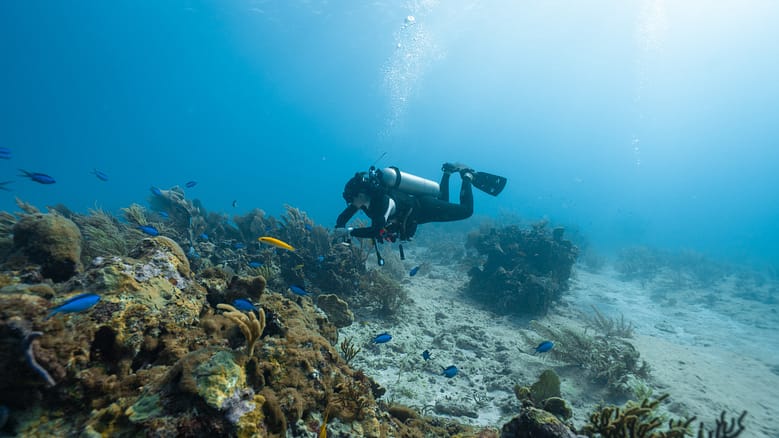 female diver posing among the corals