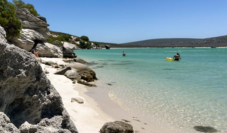 Kraalbaai West Coast National Park