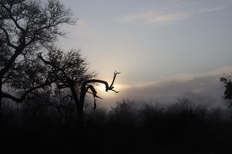 Sunset, Sonnenuntergang
