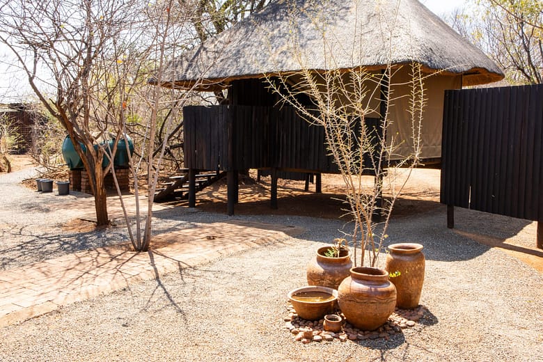 wood-log cabins for the guests at an eco lodge