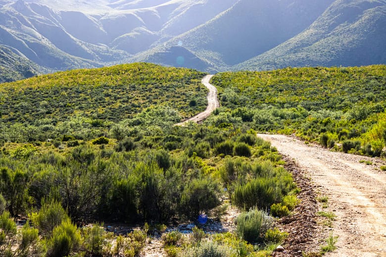 The serene landscape of Wildehondekloof in the Klein Karoo A gravel road in the country side with flowers and mountain
