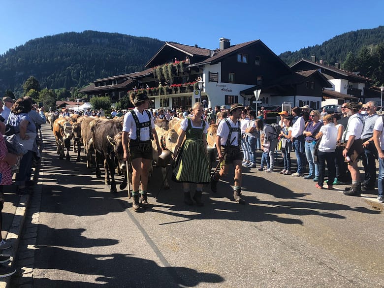 Travelbuddieslifestyle in the Allgäu at the Viescheid