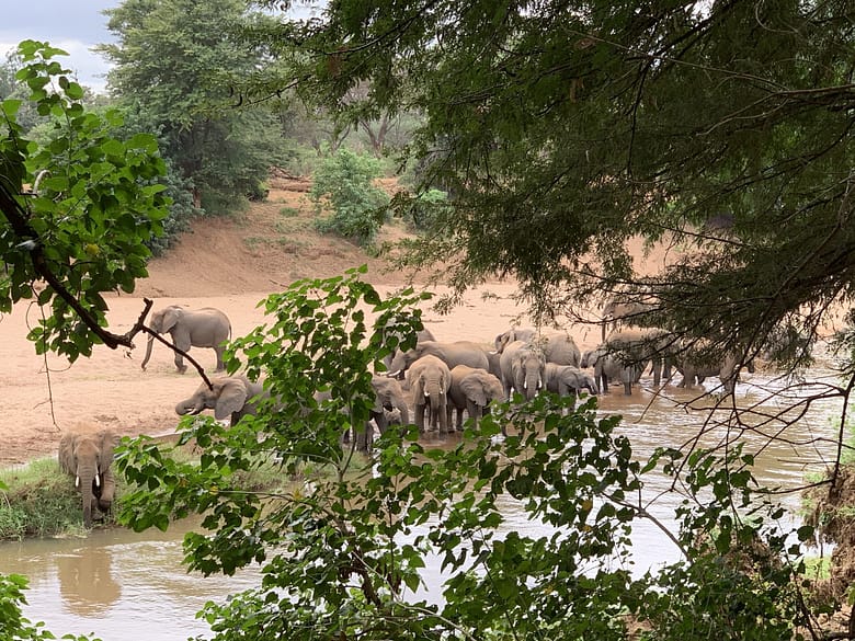 TRavelbuddies in Kruger