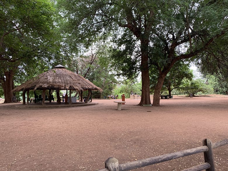 TRavelbuddies In Kruger